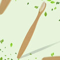 bamboo Teeth Brush